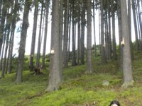 Schulbesuch 2019